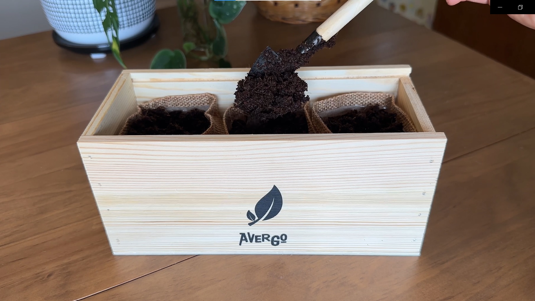 Amazon.com : AVERGO Sunflower, Marigold & Zinnia Flower Seeds